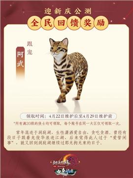 天龙八部私服溢出漏洞